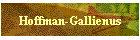 Hoffman-Gallienus