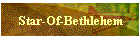 Star-Of-Bethlehem