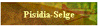 Pisidia-Selge