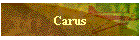Carus