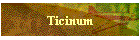 Ticinum
